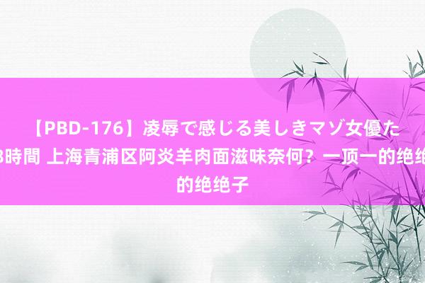 【PBD-176】凌辱で感じる美しきマゾ女優たち8時間 上海青浦区阿炎羊肉面滋味奈何？一顶一的绝绝子