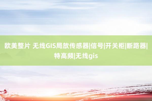 欧美整片 无线GIS局放传感器|信号|开关柜|断路器|特高频|无线gis