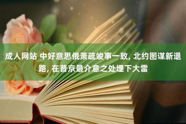 成人网站 中好意思俄萧疏竣事一致， 北约图谋新退路， 在普京最介意之处埋下大雷