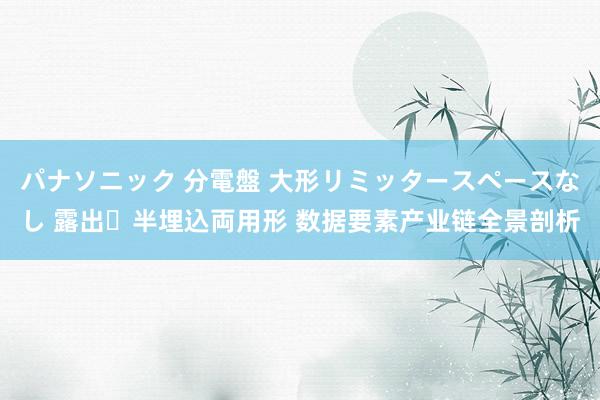 パナソニック 分電盤 大形リミッタースペースなし 露出・半埋込両用形 数据要素产业链全景剖析