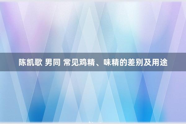 陈凯歌 男同 常见鸡精、味精的差别及用途