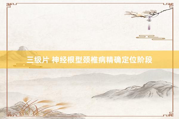 三级片 神经根型颈椎病精确定位阶段